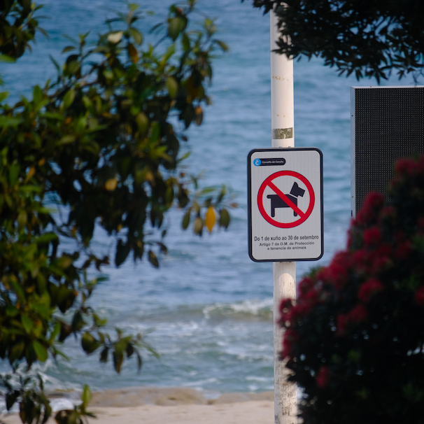 no-dogs sign on a beach that reads “Do 1 de xuño ao 30 setembro”, “Artigo 7 da O.M. de Protección e tenencia de animais”, and “Concello da Coruña”