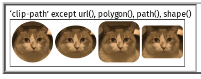 clip-path tests using a picture of a cat 4 times