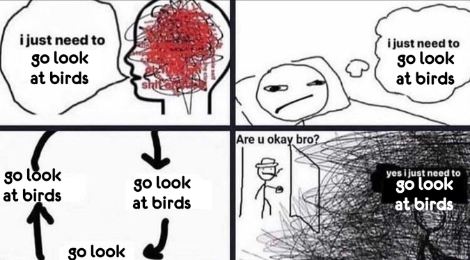 the "i just need to get through this week" meme, changed to read "i just need to go look at birds"