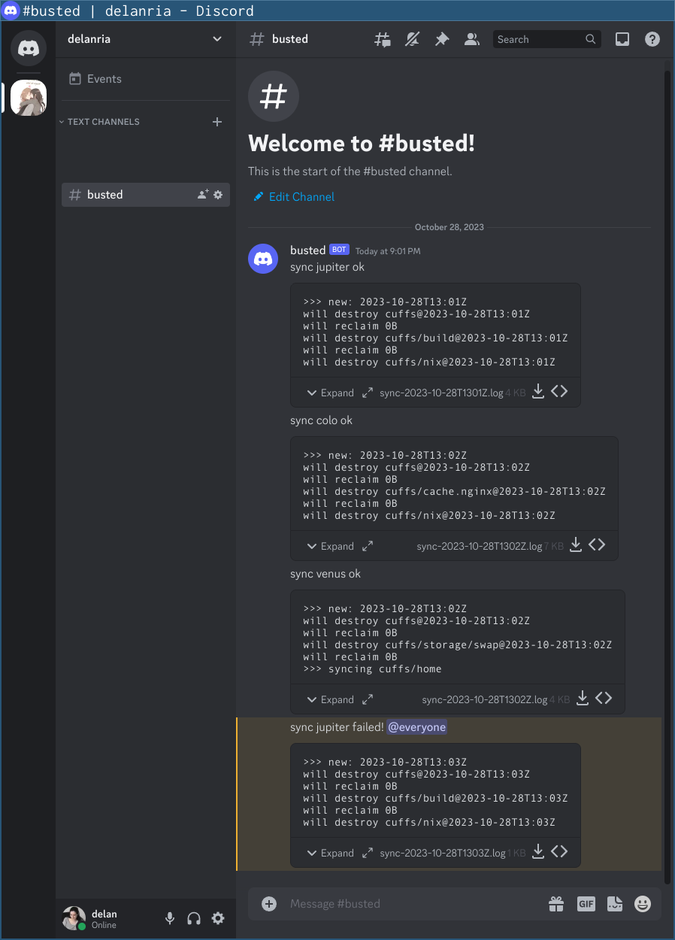 screenshot of discord channel with four messages, each with a log file attached:

“sync jupiter ok”
“sync colo ok”
“sync venus ok”
“sync jupiter failed! @everyone”