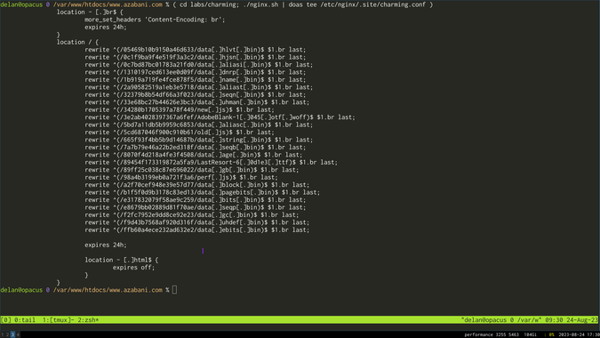 % ( cd labs/charming; ./nginx.sh | doas tee /etc/nginx/.site/charming.conf )
location ~ [.]br$ {
    more_set_headers 'Content-Encoding: br';
    expires 24h;
}
location / {
    rewrite ^(/05469b10b9150a46d633/data[.]hlvt[.]bin)$ $1.br last;
    rewrite ^(/0c1f9ba9f4e519f3a3c2/data[.]hjsn[.]bin)$ $1.br last;
    rewrite ^(/0c7bd87bc01783a21fd0/data[.]aliasi[.]bin)$ $1.br last;
    # [...]

    expires 24h;

    location ~ [.]html$ {
        expires off;
    }
}