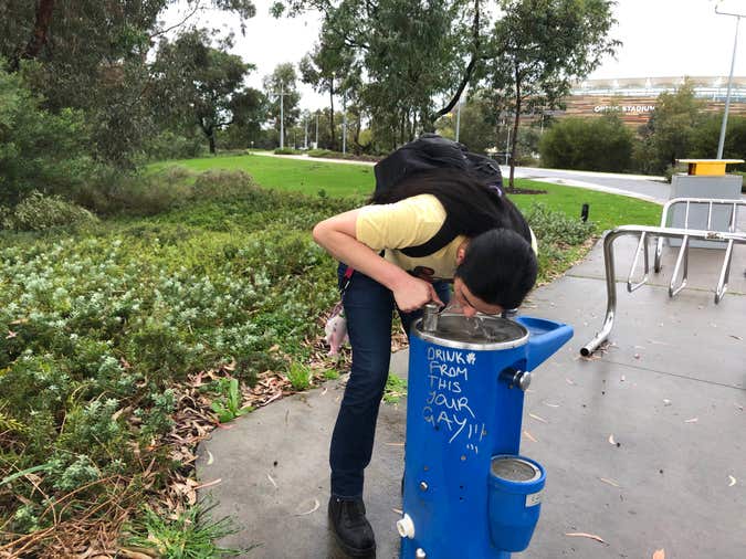 drinking from a fountain tagged “drink from this your gay!!!”